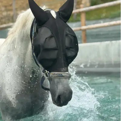Ecurie du Murinsais - Centre de balnéothérapie équine