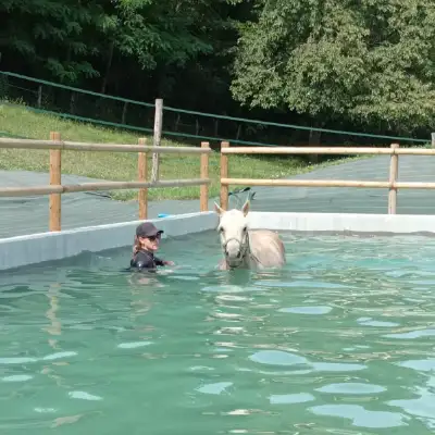 Ecurie du Murinsais - Centre de balnéothérapie équine